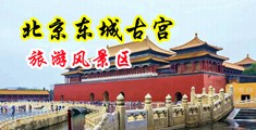 狂日荡妇屁眼中国北京-东城古宫旅游风景区